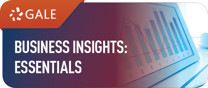 business insights essentials